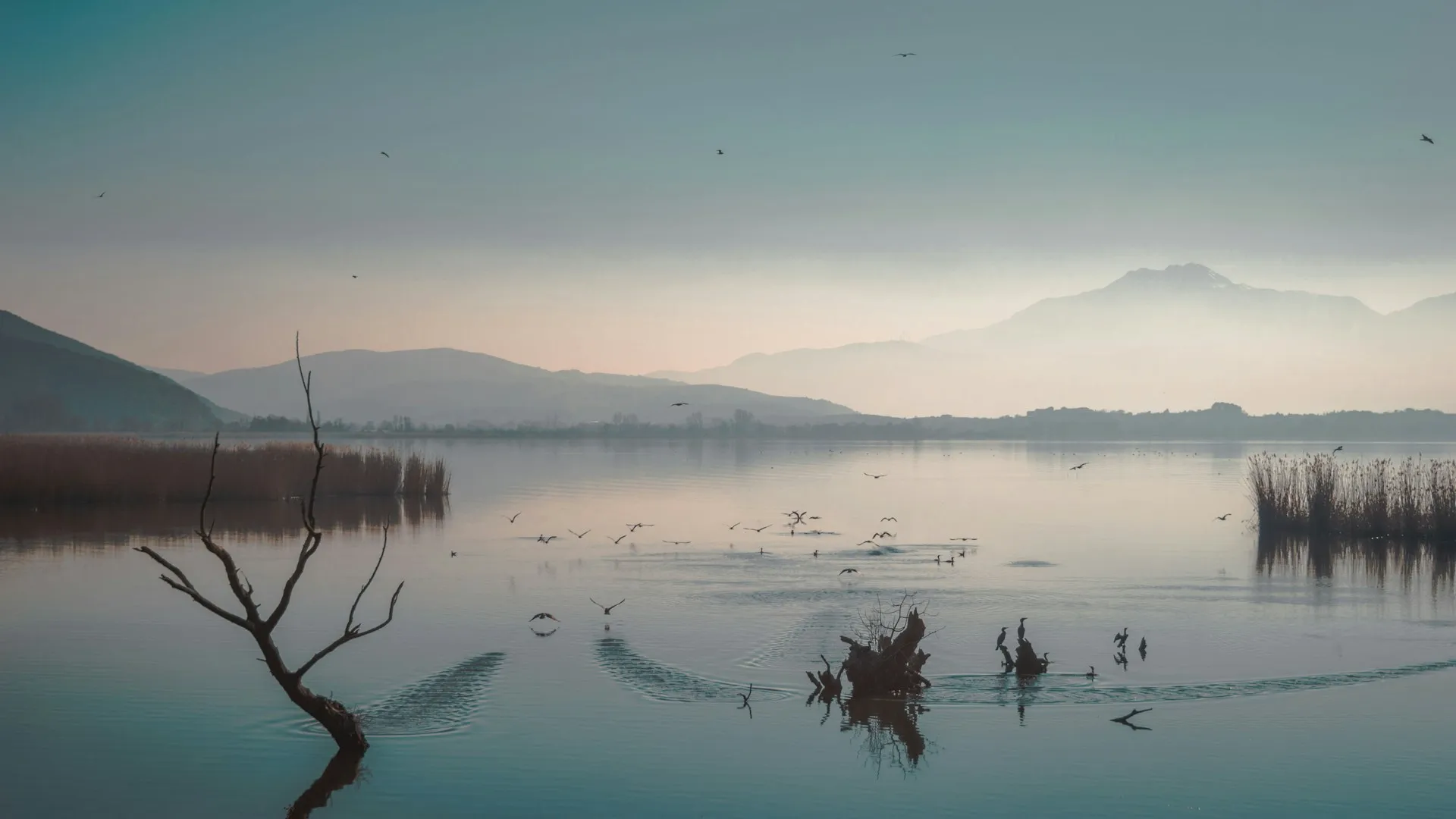 Lorenzo Ams Athens Tours